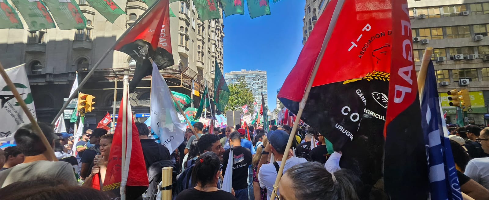 Actividad de AFRU