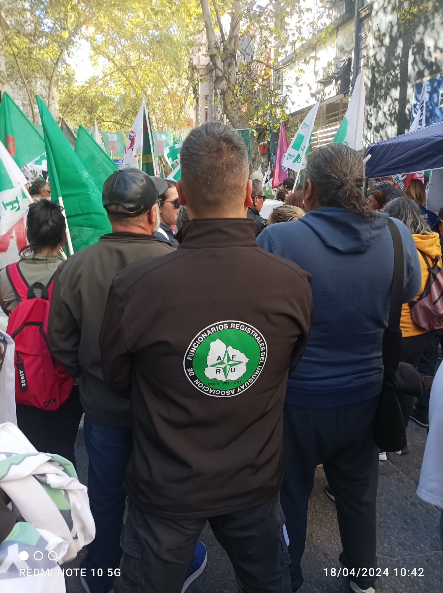 Actividad de AFRU